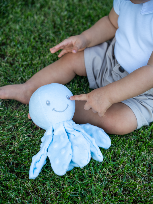 Polvo – O Amiguinho das Marés de Carinho