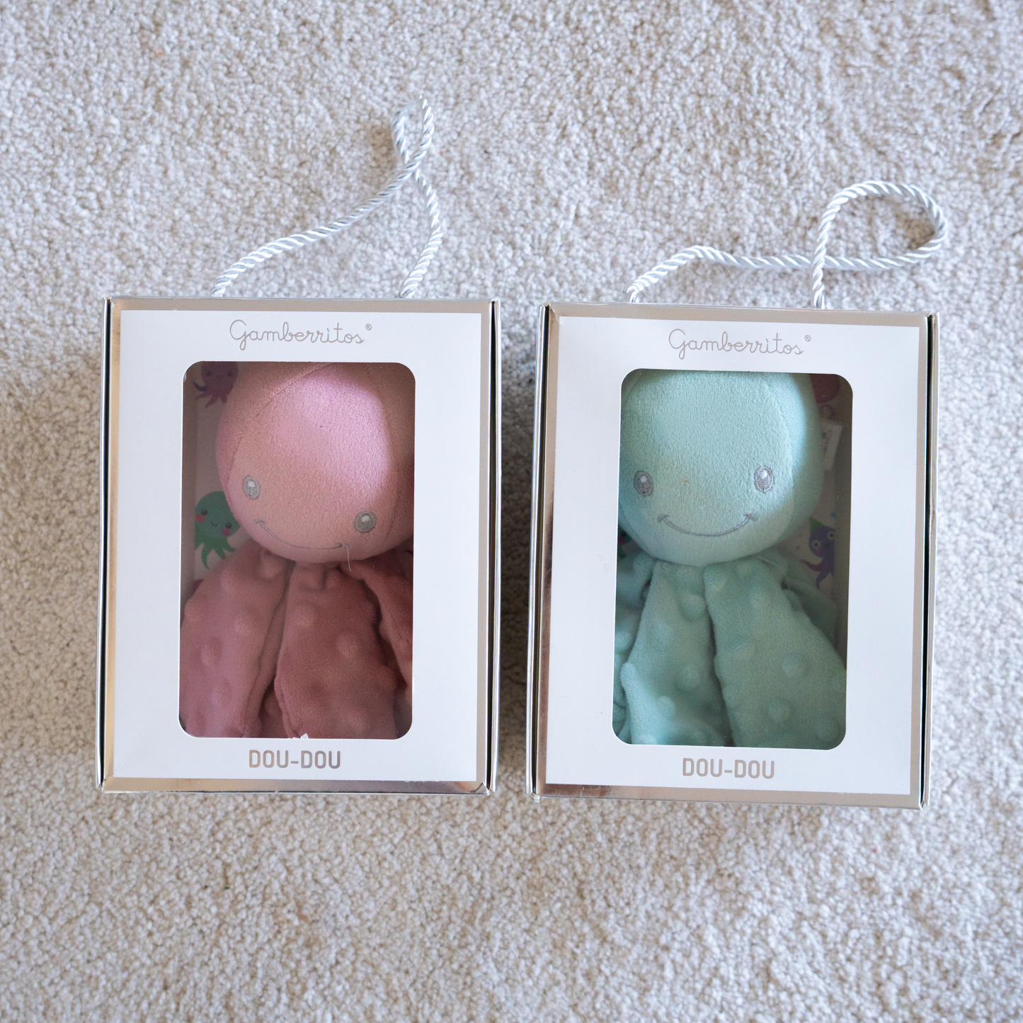 Polvo – O Amiguinho das Marés de Carinho