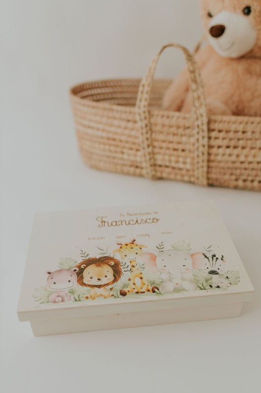 BabyBox - As Minhas Recordações